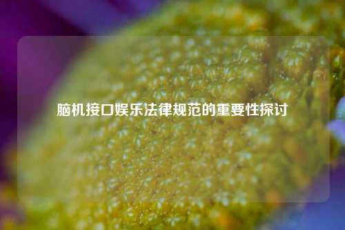 脑机接口娱乐法律规范的重要性探讨
